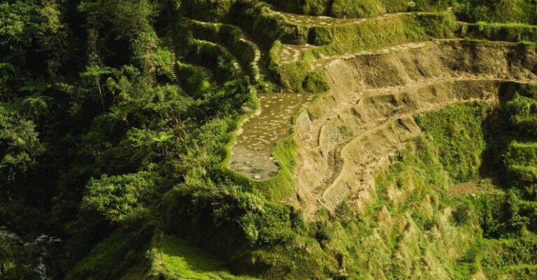 Digital Photography - Aerial Photo Of Banaue Rice Terraces